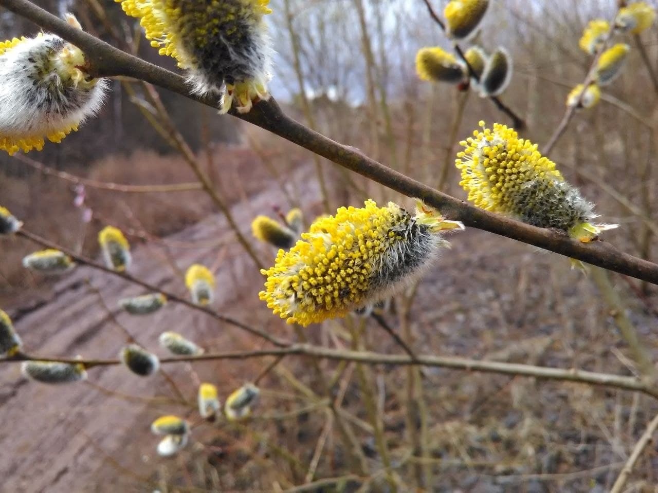 Весенняя покатушка из Шелепихи