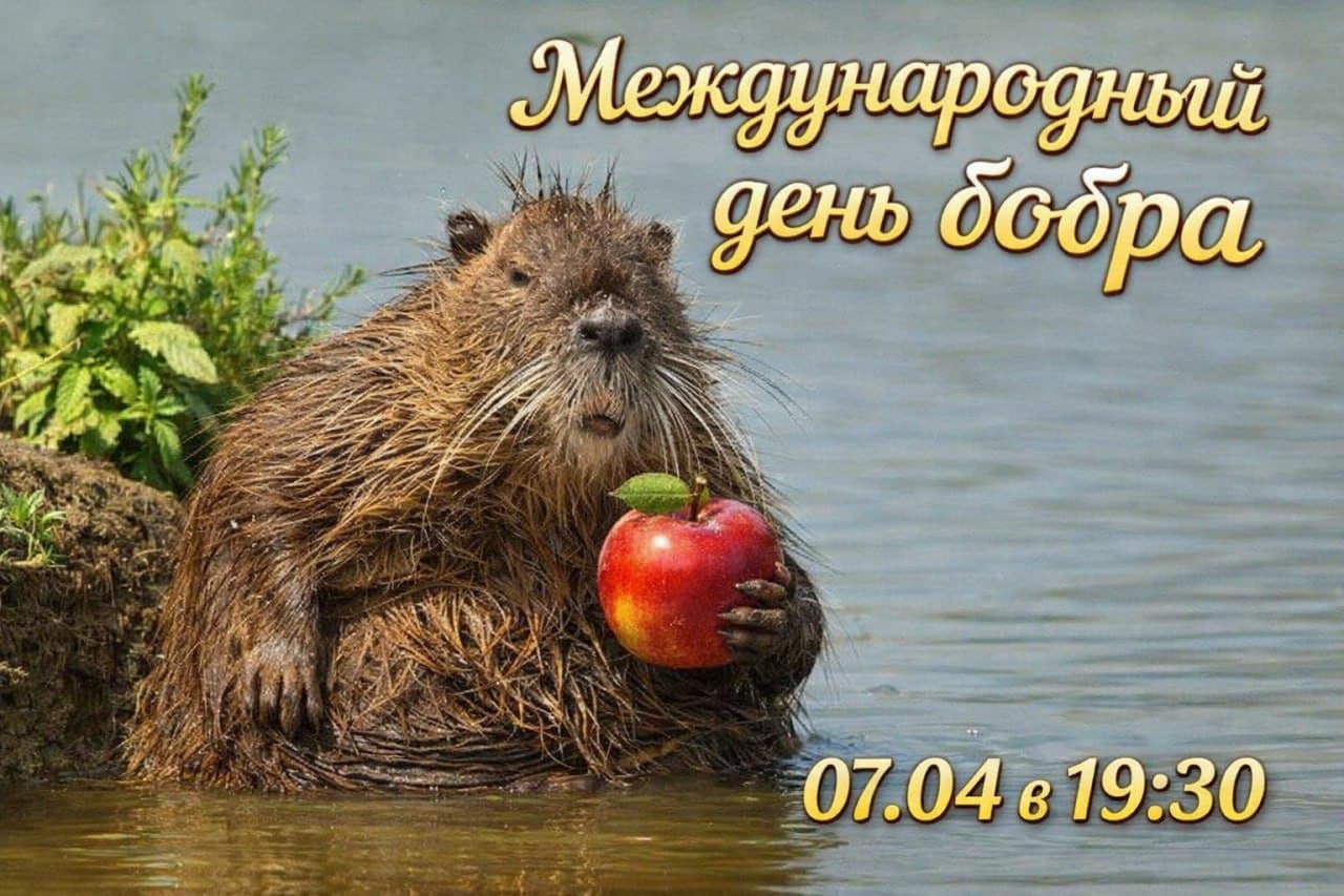 Боброкатка