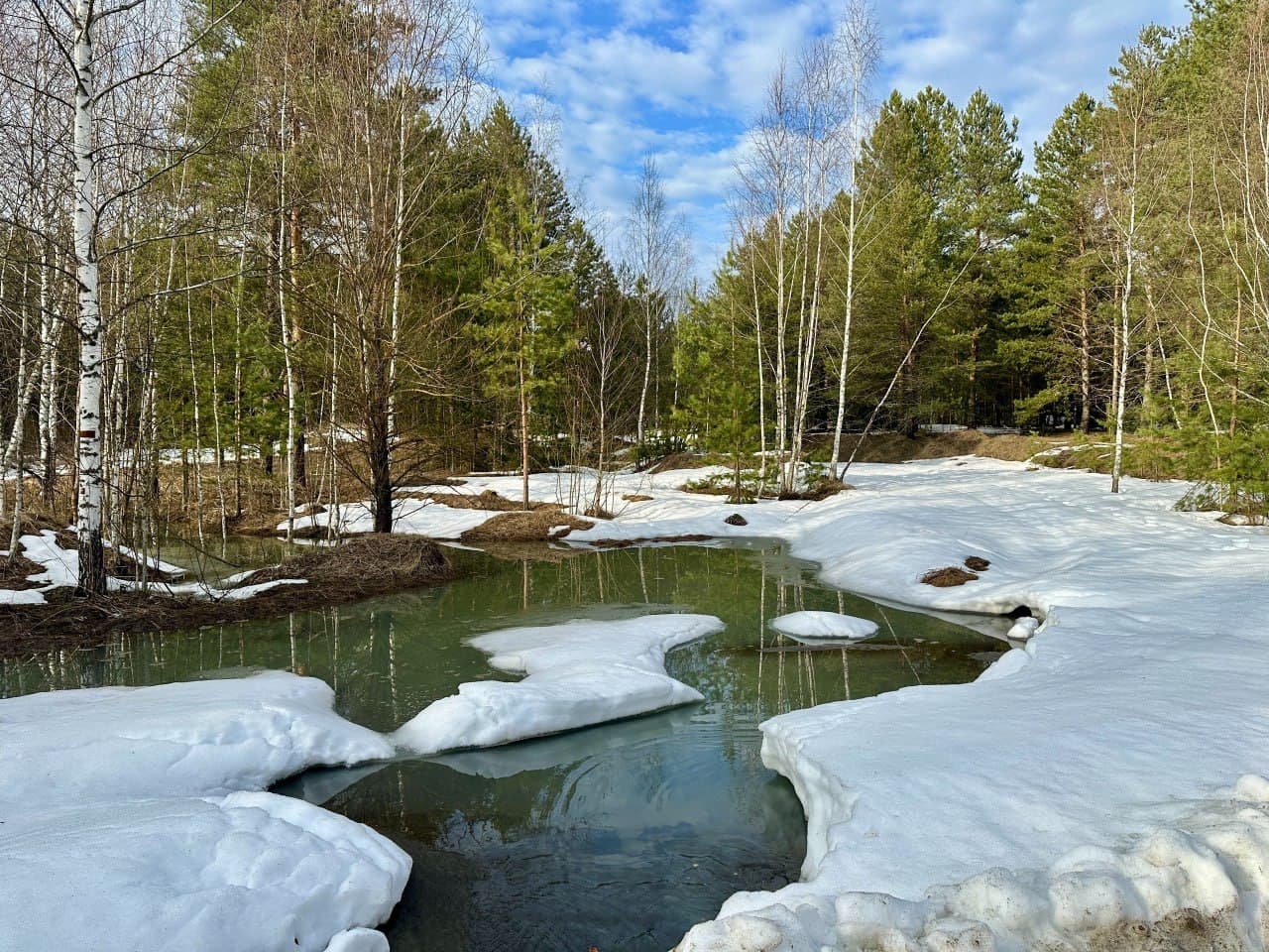 Фэтбайк-покатушки по весенней Мещере